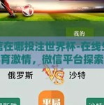 微信在哪投注世界杯-在线生活与体育激情，微信平台探索世界杯投注新体验