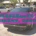 世界杯足球彩票app天天-世界杯足球彩票APP，足球迷的趣味与惊喜