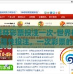 世界杯彩票投注一次-世界杯激情与理性投注，一次彩票的抉择