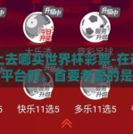 网上去哪买世界杯彩票-在选择购彩平台时，首要考虑的是其是否为官方认证或受国家/地区相关监管机构批准，这直接关联到交易的公正性与资金的安全性。投注前务必确认平台正规性，不仅避免上当受骗，也能在合法合规的前提下畅享竞猜乐趣