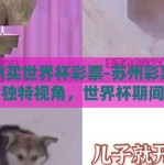 苏州买世界杯彩票-苏州彩票文化的独特视角，世界杯期间下的彩票狂欢