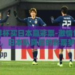 世界杯买日本赢彩票-激情世界杯，日本队背后的彩票梦想