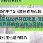 微信投注世界杯在哪里-微信投注世界杯的合法性与风险提示