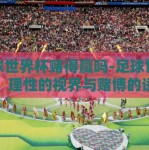 足球世界杯赌得赢吗-足球世界杯，理性的视界与赌博的诱惑