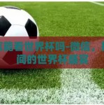 微信能看世界杯吗-微信，指尖间的世界杯盛宴