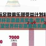 世界杯彩票最高奖金-世界之巅，展望世界杯彩票最高奖金的辉煌与机遇