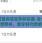 支付宝购买世界杯彩票-支付宝购彩世界杯，数字时代的便捷与激情碰撞