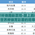 世界杯体育彩票赔-踏上胜利之路，世界杯体育彩票的赔率分析与策略指南