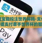 支付宝能投注世界杯吗-支付宝，便捷支付牵手世界杯的智慧选择