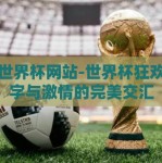下注世界杯网站-世界杯狂欢，数字与激情的完美交汇