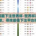 在哪能下注世界杯-世界杯赛事热潮，寻找最佳下注平台指南