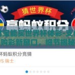 支付宝能买世界杯体彩-支付宝变身购彩新窗口，细节揭秘其世界杯体彩购买体验与影响