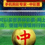 网上可以买世界杯彩票-网上购彩新风尚，便捷与谨慎并行的世界杯彩票选择