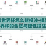 微信世界杯怎么赌投注-探索微信世界杯的合法与理性投注指南