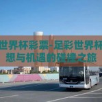 足彩世界杯彩票-足彩世界杯，梦想与机遇的碰撞之旅