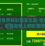 微博世界杯彩票怎么看-世界杯彩票，看懂微博上的彩票信息小贴士