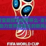 支付宝能投注世界杯么-支付宝，助力世界杯投注的新风尚？