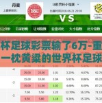 世界杯足球彩票输了6万-重拾希望，一枕黄粱的世界杯足球彩票之旅