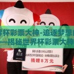世界杯彩票大神-追逐梦想的锦囊——揭秘世界杯彩票大神的预测奇术