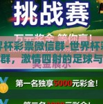 世界杯彩票微信群-世界杯彩票微信群，激情四射的足球与智慧的赌注交汇