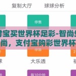 支付宝买世界杯足彩-智尚生活新风尚，支付宝购彩世界杯的便捷与激情
