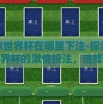 足球世界杯在哪里下注-探索足球世界杯的激情投注，选择与责任的平衡之道