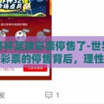 世界杯足球彩票停售了-世界杯足球彩票的停售背后，理性与规范的碰撞