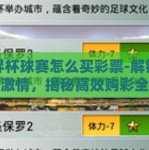 世界杯球赛怎么买彩票-解锁世界杯激情，揭秘高效购彩全攻略