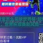支付宝怎么买球世界杯-玩转支付宝，世界杯观赛新风尚——轻松购买球赛彩票指南