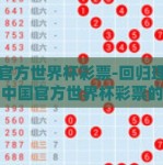 中国官方世界杯彩票-回归理性竞技，中国官方世界杯彩票的消费与责任