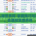 怎么赌世界杯-掌握技巧与策略，合理观赏世界杯