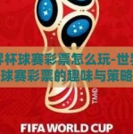 世界杯球赛彩票怎么玩-世界杯球赛彩票的趣味与策略