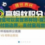 支付宝可以买世界杯吗-探索数字支付新边界，支付宝与世界杯的奇妙邂逅