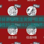世界杯彩票投注关闭-点燃激情，理性投注，2023年世界杯彩票投注关闭的启示