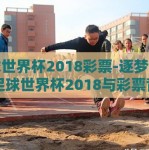 足球世界杯2018彩票-逐梦绿茵，足球世界杯2018与彩票背后的激情与梦想