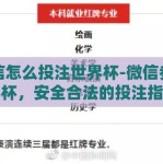 微信怎么投注世界杯-微信参与世界杯，安全合法的投注指南与警示
