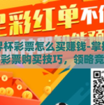 世界杯彩票怎么买赚钱-掌握世界杯彩票购买技巧，领略竞技中的财富策略