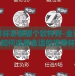 世界杯彩票那个软件好-全面指南，如何选择合适的世界杯彩票应用程序软件