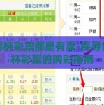 世界杯彩票那里有卖-探寻世界杯彩票的购彩指南