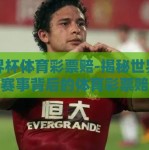 世界杯体育彩票赔-揭秘世界杯足球赛事背后的体育彩票赔率玄机