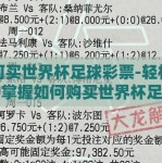 如何买世界杯足球彩票-轻松入门，掌握如何购买世界杯足球彩票的实操指南