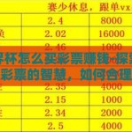世界杯怎么买彩票赚钱-探索世界杯彩票的智慧，如何合理下注以实现最大化收益