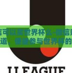 微信可以买世界杯么-微信购彩新渠道，便捷参与世界杯的数字浪潮