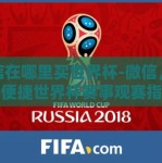 微信在哪里买世界杯-微信，您的便捷世界杯赛事观赛指南