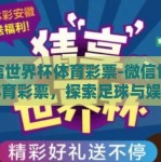微信世界杯体育彩票-微信世界杯体育彩票，探索足球与娱乐的跨界融汇