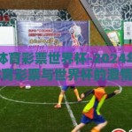 中目体育彩票世界杯-2024年，中目体育彩票与世界杯的激情碰撞