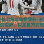 在手机上怎么赌世界杯-消费与娱乐的边界，以正当方式观赛世界杯的智慧选择