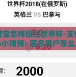支付宝怎样投注世界杯-支付宝的小小赌博: 匿名用户怎么用支付宝投世界杯