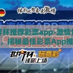 世界杯推荐彩票app-激情世界杯，揭秘最佳彩票App推荐