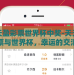 天天盈彩票世界杯中奖-天天盈彩票与世界杯，幸运的交汇点